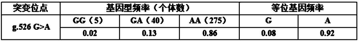 A SNP molecular marker related with chicken carcass traits and application thereof