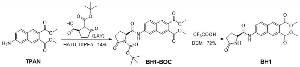 Fluorescent probe for detecting pyroglutamamide aminopeptidase I as well as preparation method and application of fluorescent probe