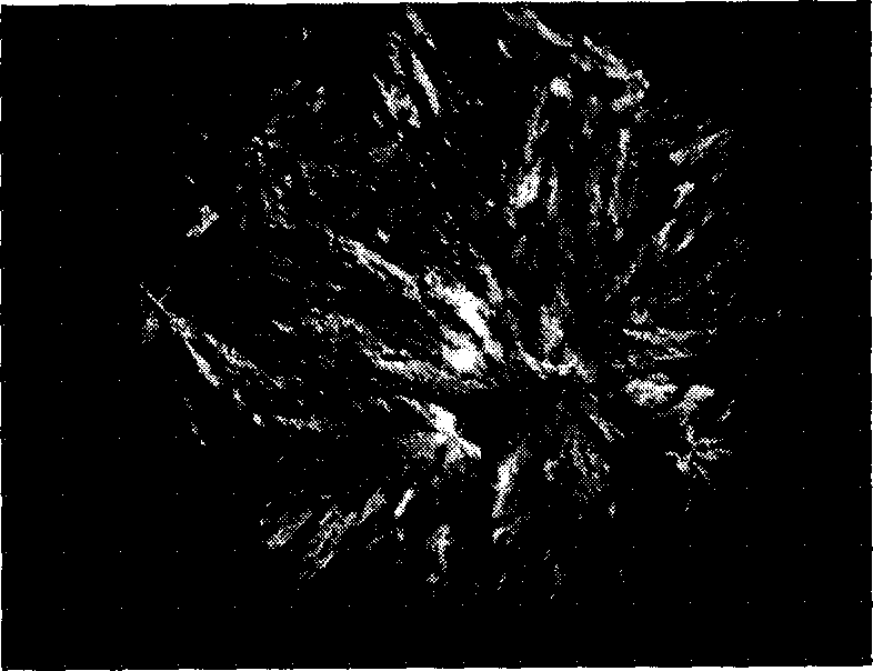 Process for preparing compound forming phase changing material of polyethyldiol/silicon dioxide