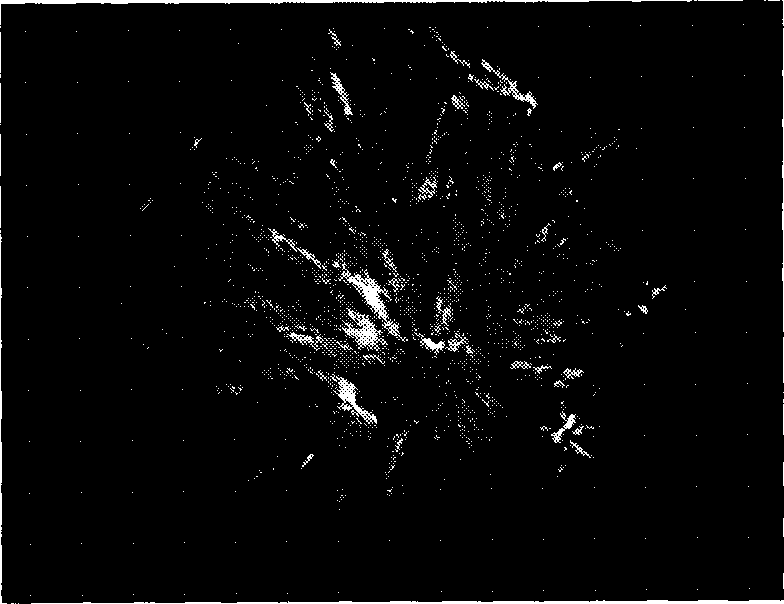 Process for preparing compound forming phase changing material of polyethyldiol/silicon dioxide