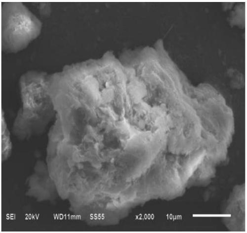 Nitrogen and phosphorus removal composite adsorption material and preparation method thereof