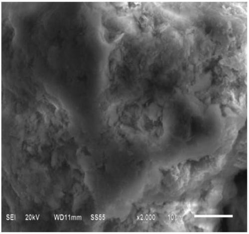 Nitrogen and phosphorus removal composite adsorption material and preparation method thereof