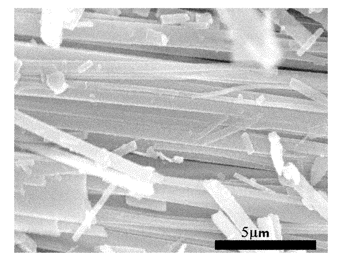 Mesoporous vanadium dioxide nano strip material as well as preparation method and application thereof