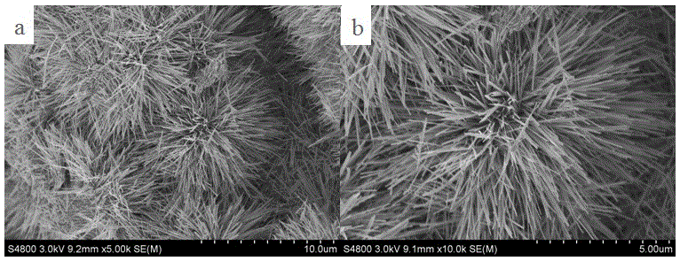 Firework-shaped nano-ZnO photocatalyst prepared based on one-step calcination method and method thereof