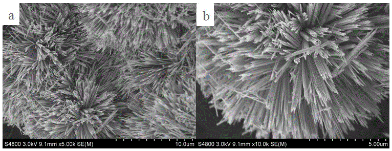 Firework-shaped nano-ZnO photocatalyst prepared based on one-step calcination method and method thereof