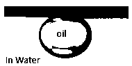 Preparation method of underwater super-oleophobic oil-water separation mesh membrane based on tannic acid modification