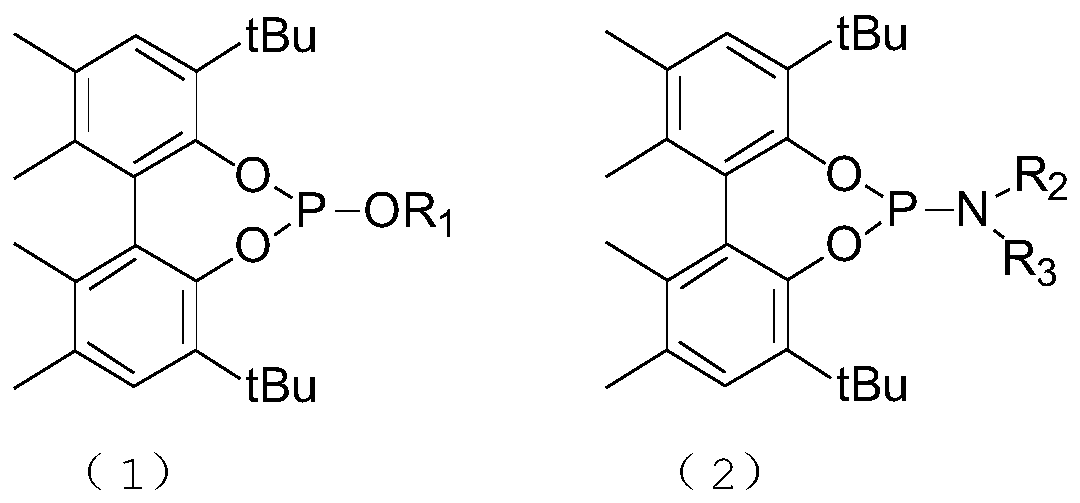 A kind of method for preparing 2-hydroxyl-4-methyltetrahydropyran