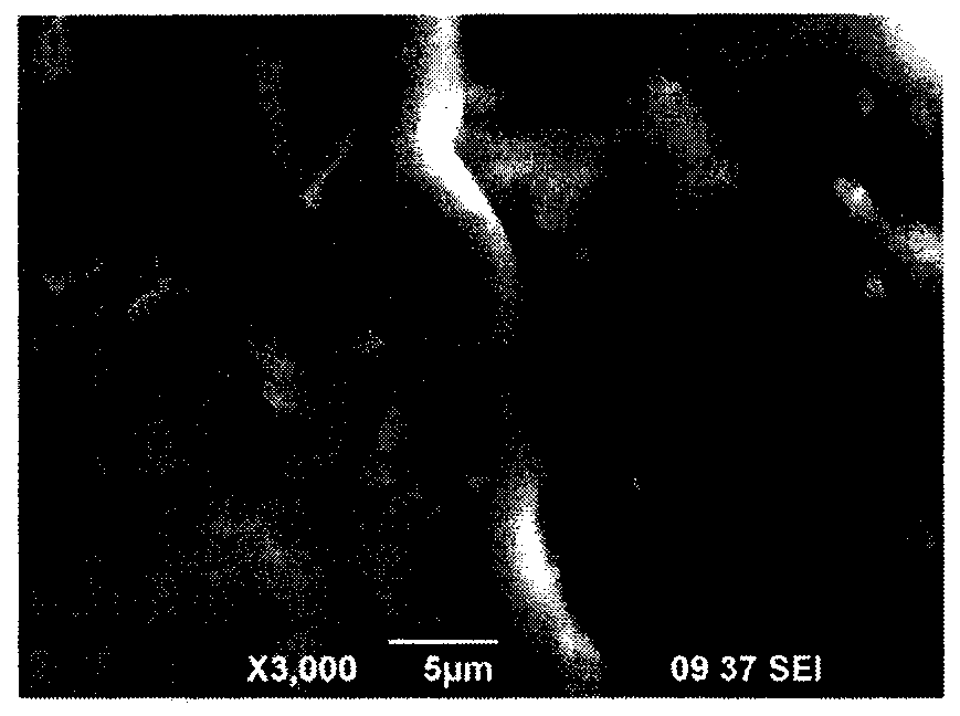 Low-carbon tourmalinite modified asphalt and preparation method thereof