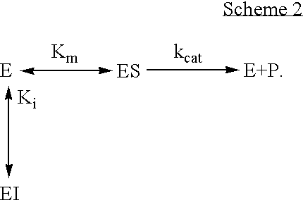 Activation of peptide prodrugs by hK2