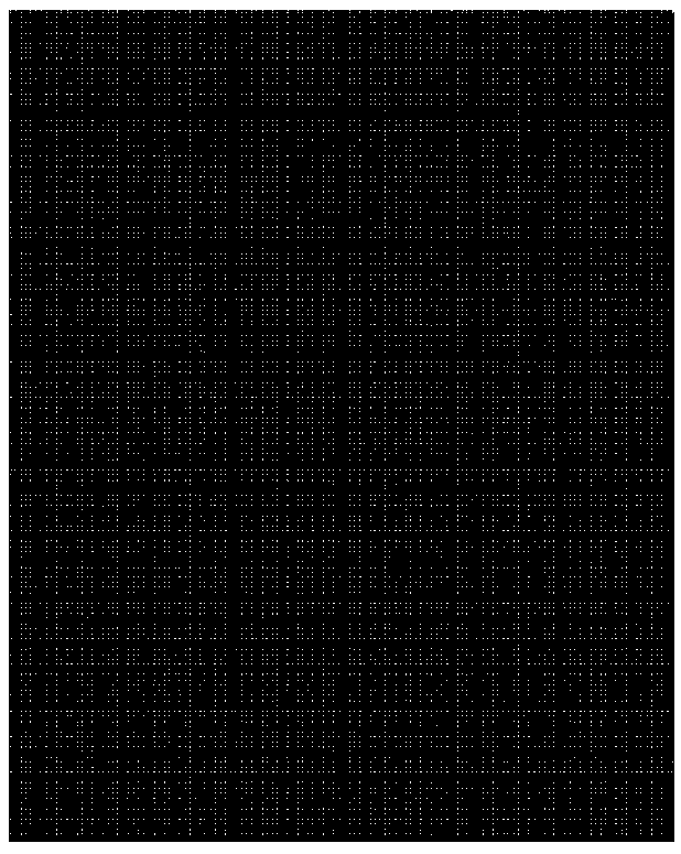 Method for analyzing water-entry cavity characteristic of navigation body