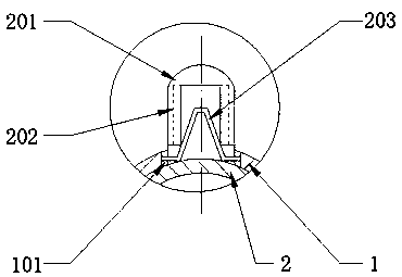 Sampling device for gynecological examination