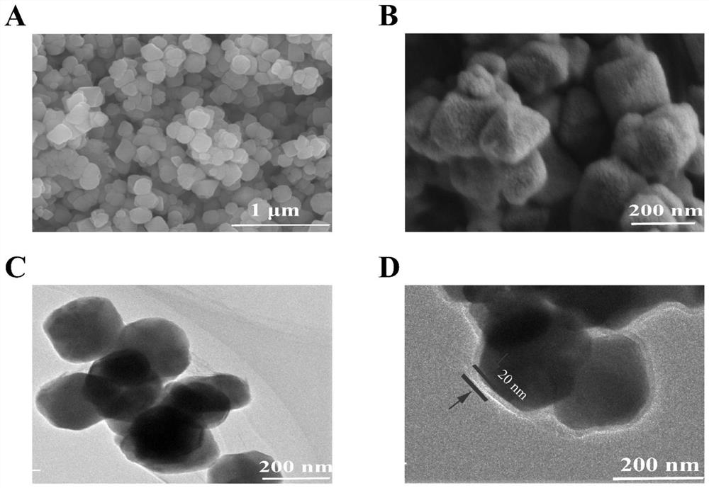 Magnetic nanoparticles as well as preparation method and application thereof