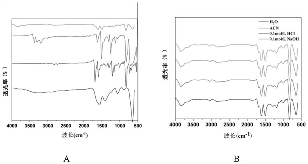 Magnetic nanoparticles as well as preparation method and application thereof