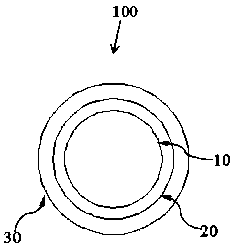 Y-shaped carotid artery stent with absorbable self-protruding membrane branch