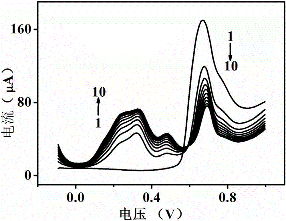 Bisphenol A electro-polymerized film functional carbon nanotube/cadmium sulfide composite electrode as well as preparation method and application thereof