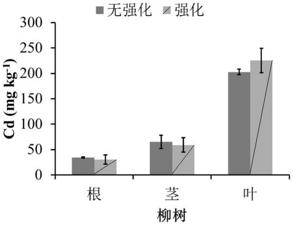 Plant management method for heavy metal contaminated soil