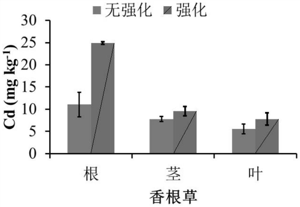 Plant management method for heavy metal contaminated soil