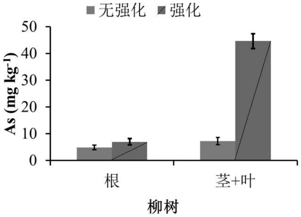 Plant management method for heavy metal contaminated soil