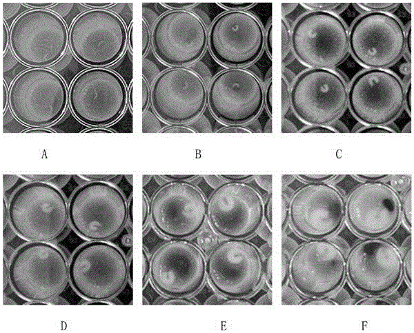 Method for evaluating toxicity of pesticides on bee larva by the aid of laboratory artificial-breeding bee larva