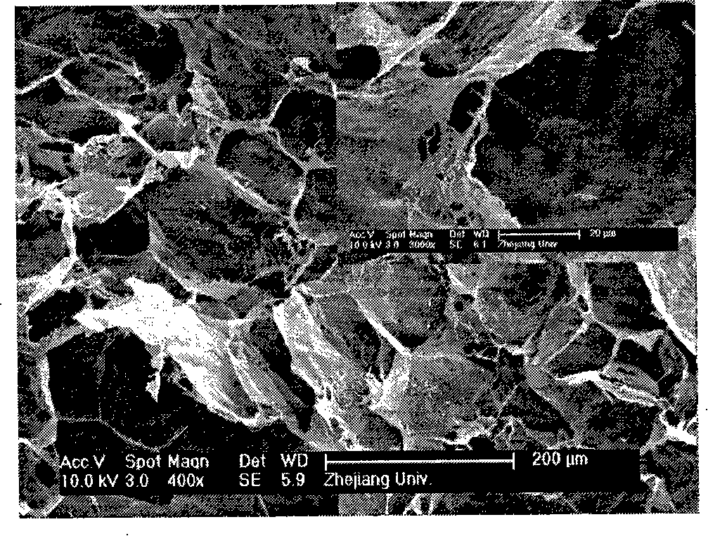 Method for preparation of collagen / chitose supporting stand of composite hydroxylapatite