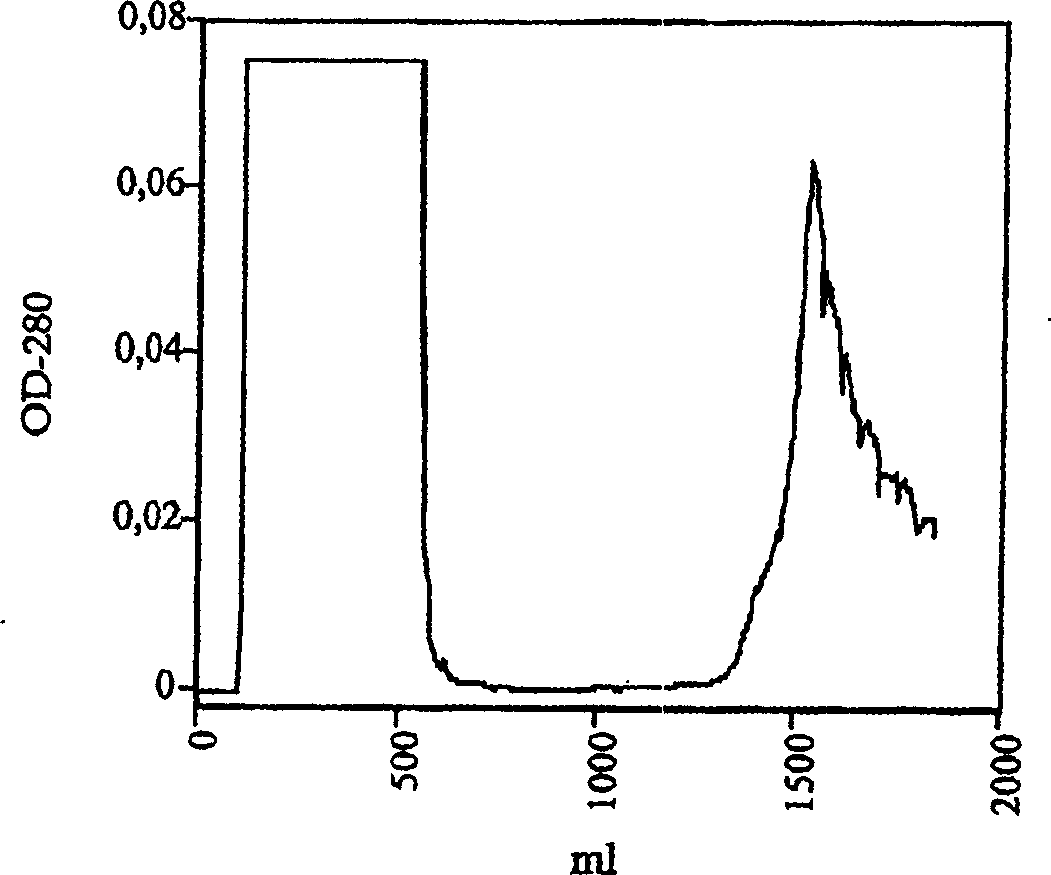 Process for preparing recombined placental growth factor