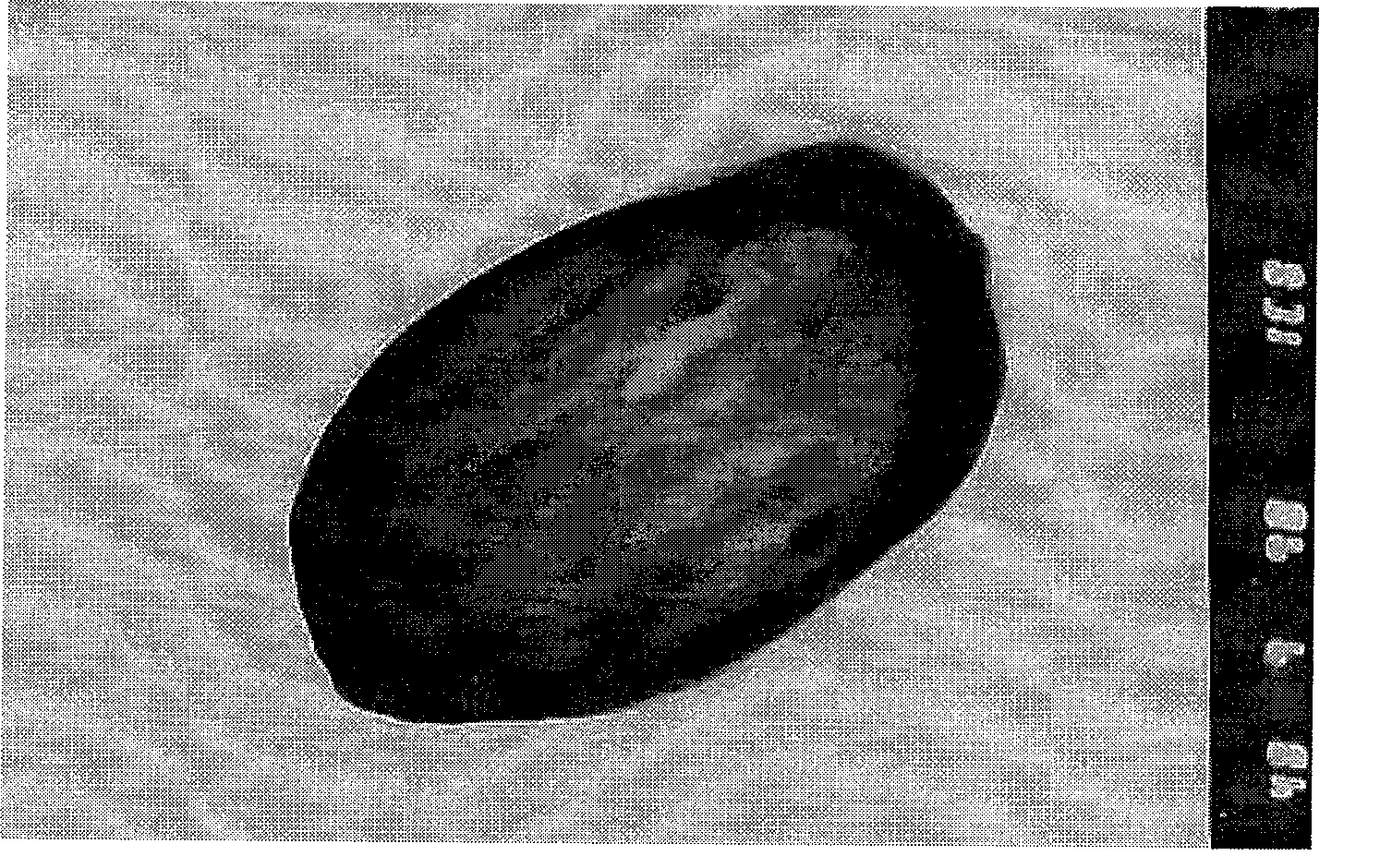 Bacillus subtilis highly producing tetramethylpyrazine and method thereof for fermentation producing tetramethylpyrazine