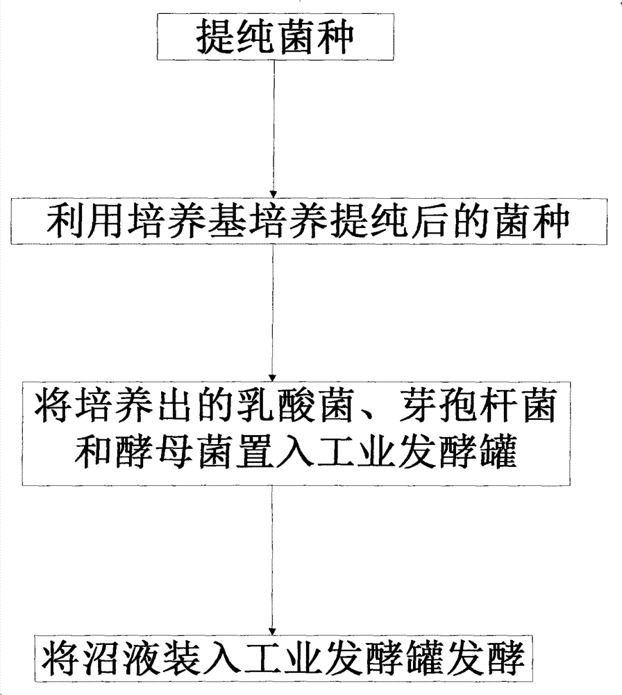 A kind of biological liquid organic fertilizer and preparation method thereof