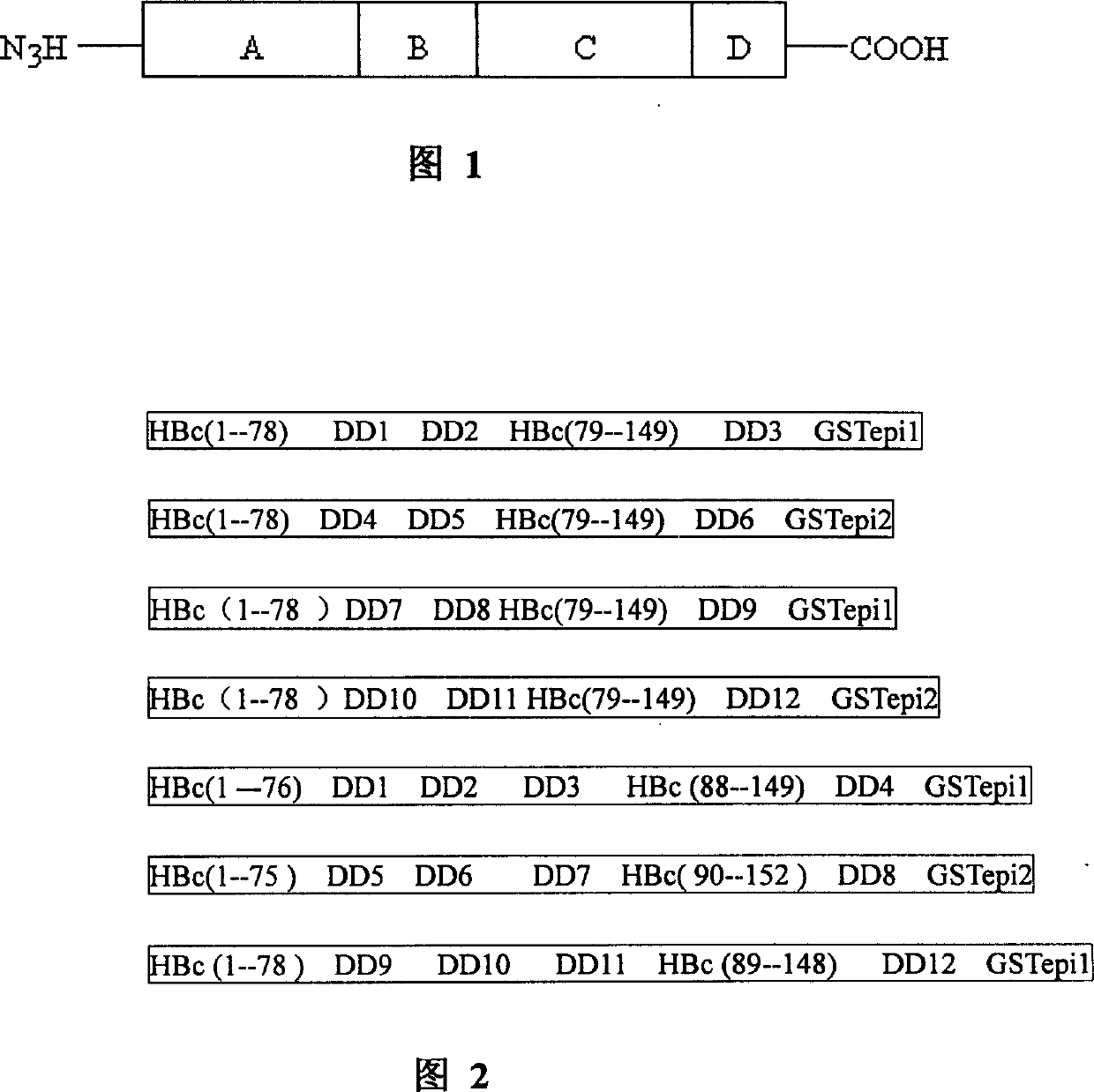 Gene engineering vaccine used for preventing pig cysticercosis and its preparation method