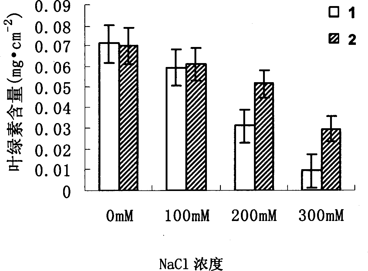 Cotton GhZFP1 gene sequence, its clone and use