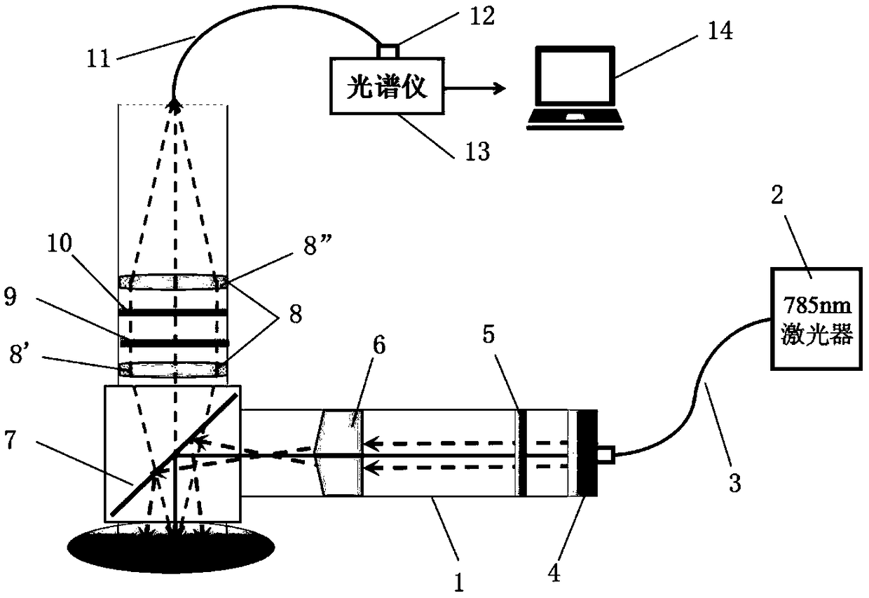 Reverse spatial deflection Raman spectrum detection device and method