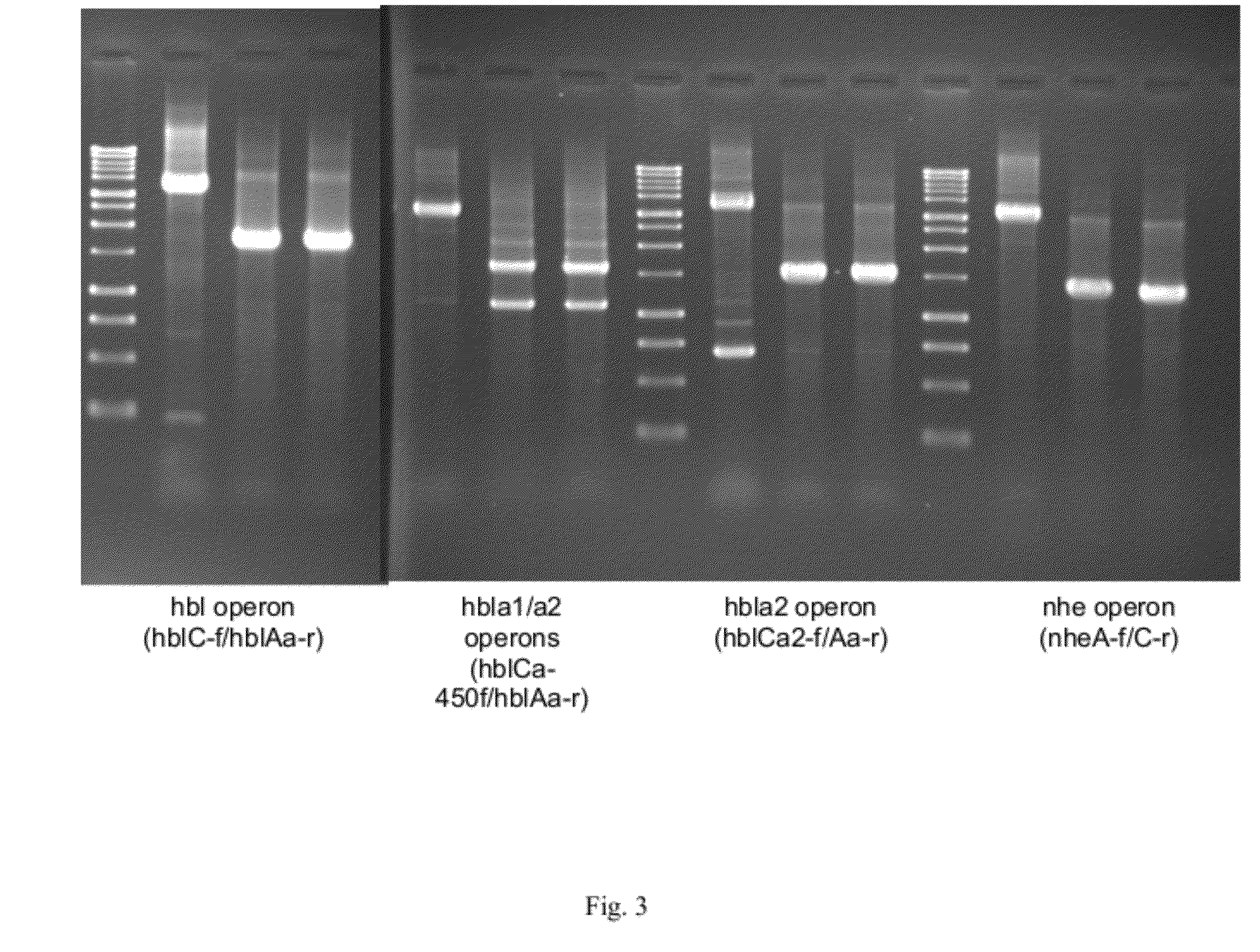 Construction of a quadruple enterotoxin-deficient mutant of bacillus thuringiensis