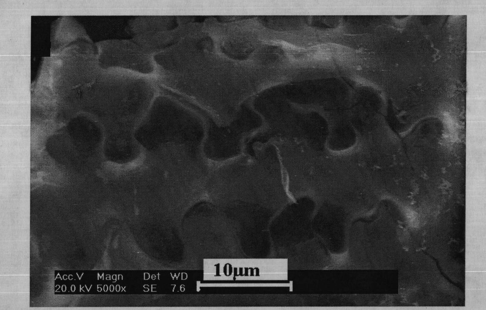 Dye mesoporous adsorbent taking rice hulls as templates and silicon sources and preparation method thereof