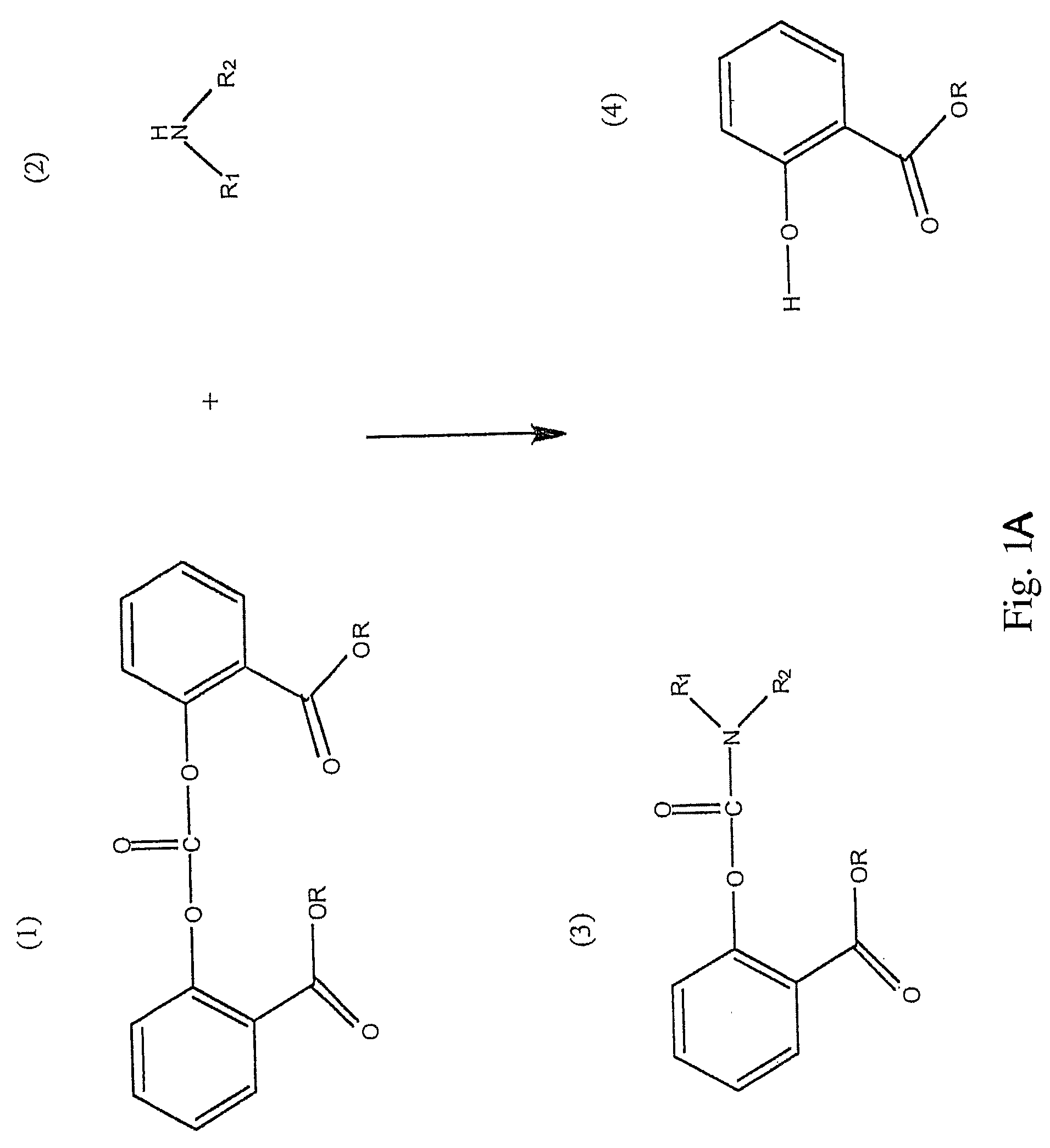 Method for Making Carbamates, Ureas and Isocyanates