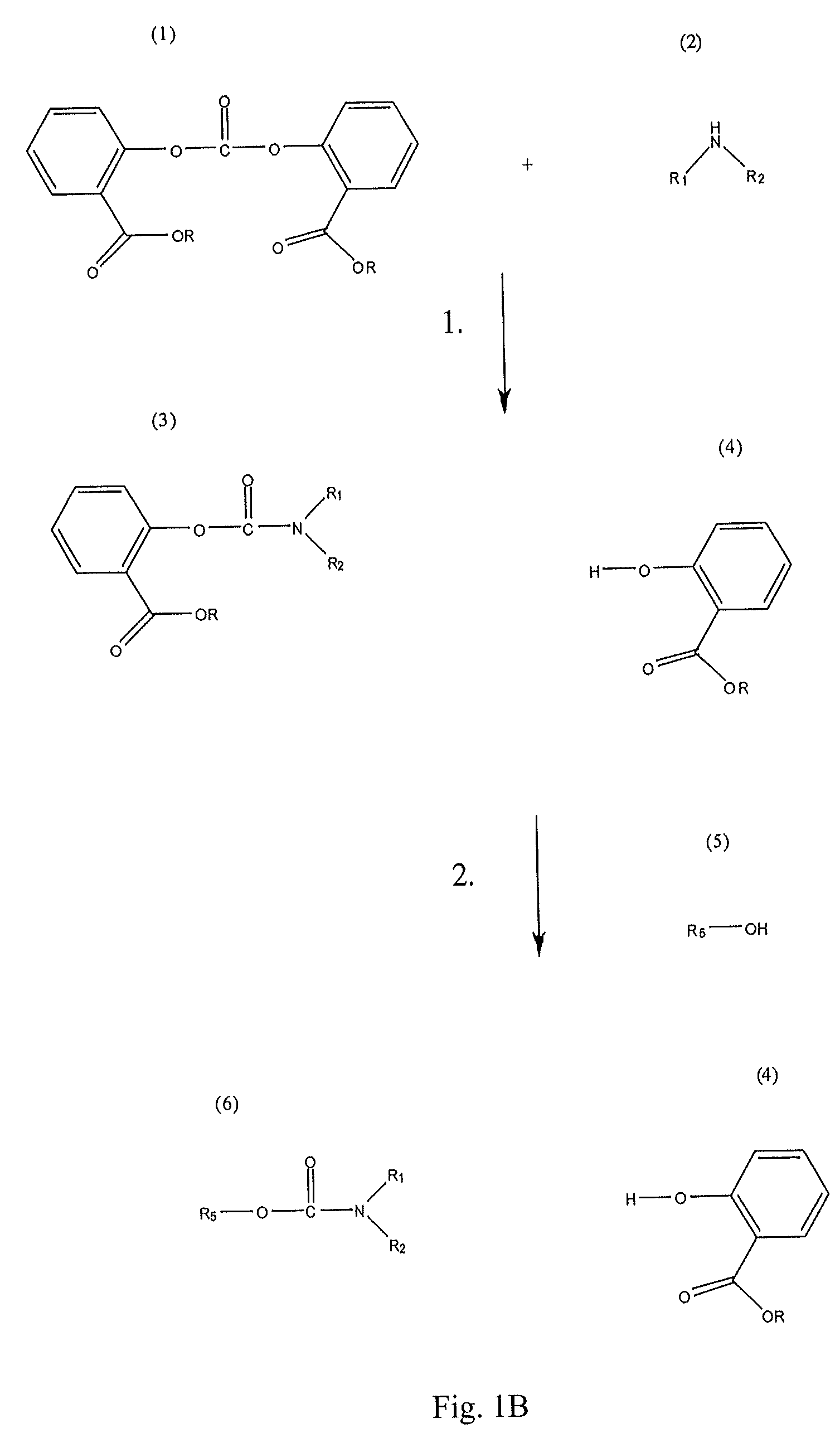 Method for Making Carbamates, Ureas and Isocyanates