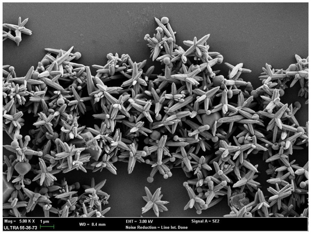 Titanium dioxide/zinc oxide heterojunction material with dendritic structure and preparation method thereof