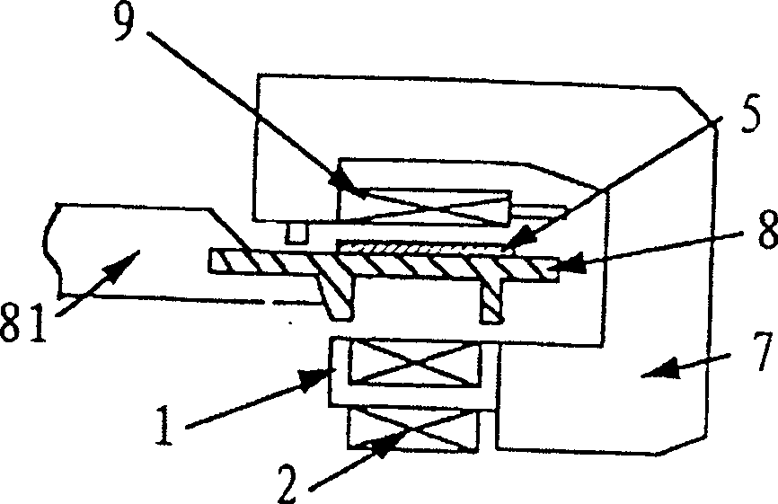 Suspended magnetic iron structure of magnetic suspension vehicle and its production mehtod