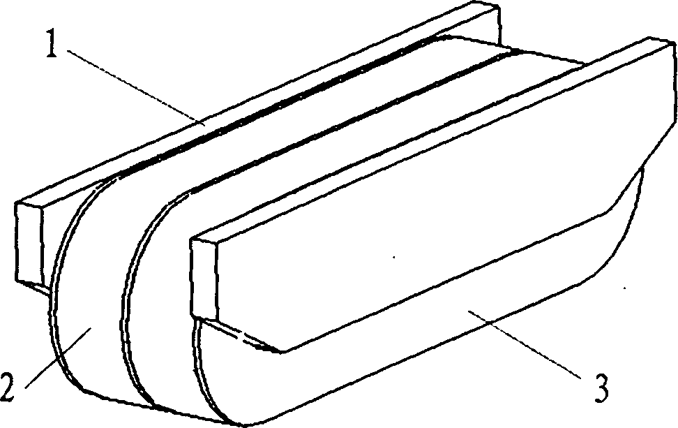 Suspended magnetic iron structure of magnetic suspension vehicle and its production mehtod