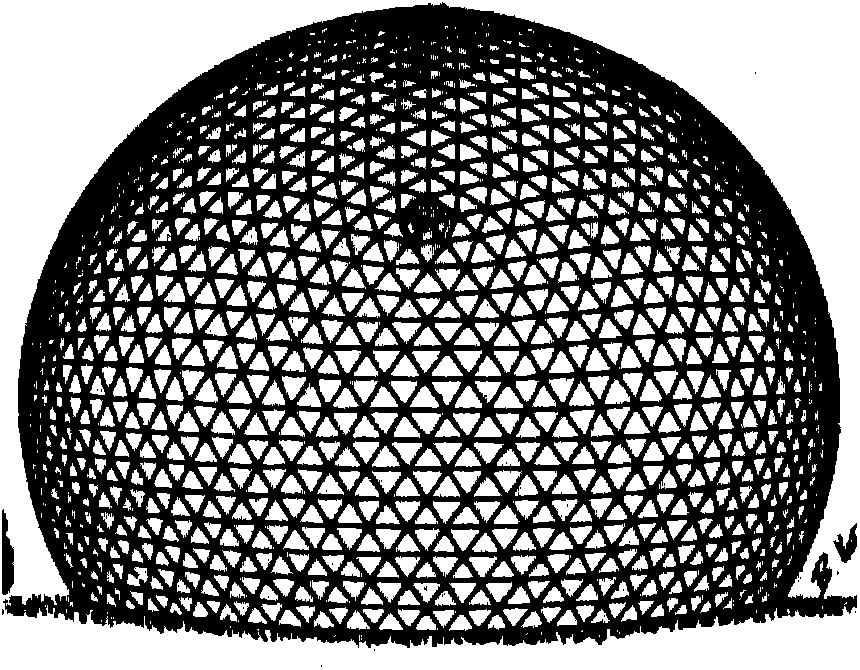 A quick-assemble hemispherical shed reticulated shell structure supported by vertical rods