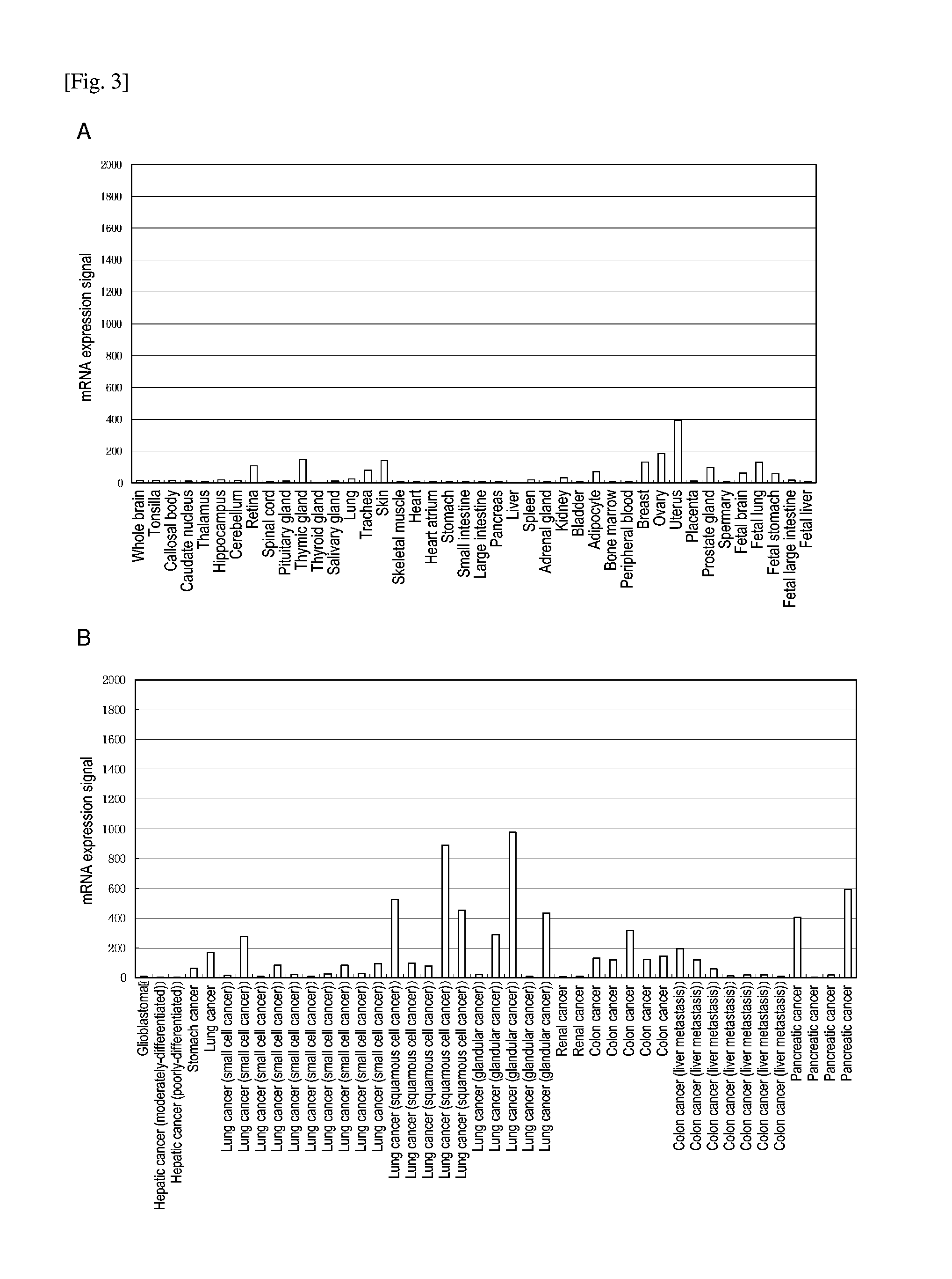 Anti-cdh3 antibody having high internalization capacity