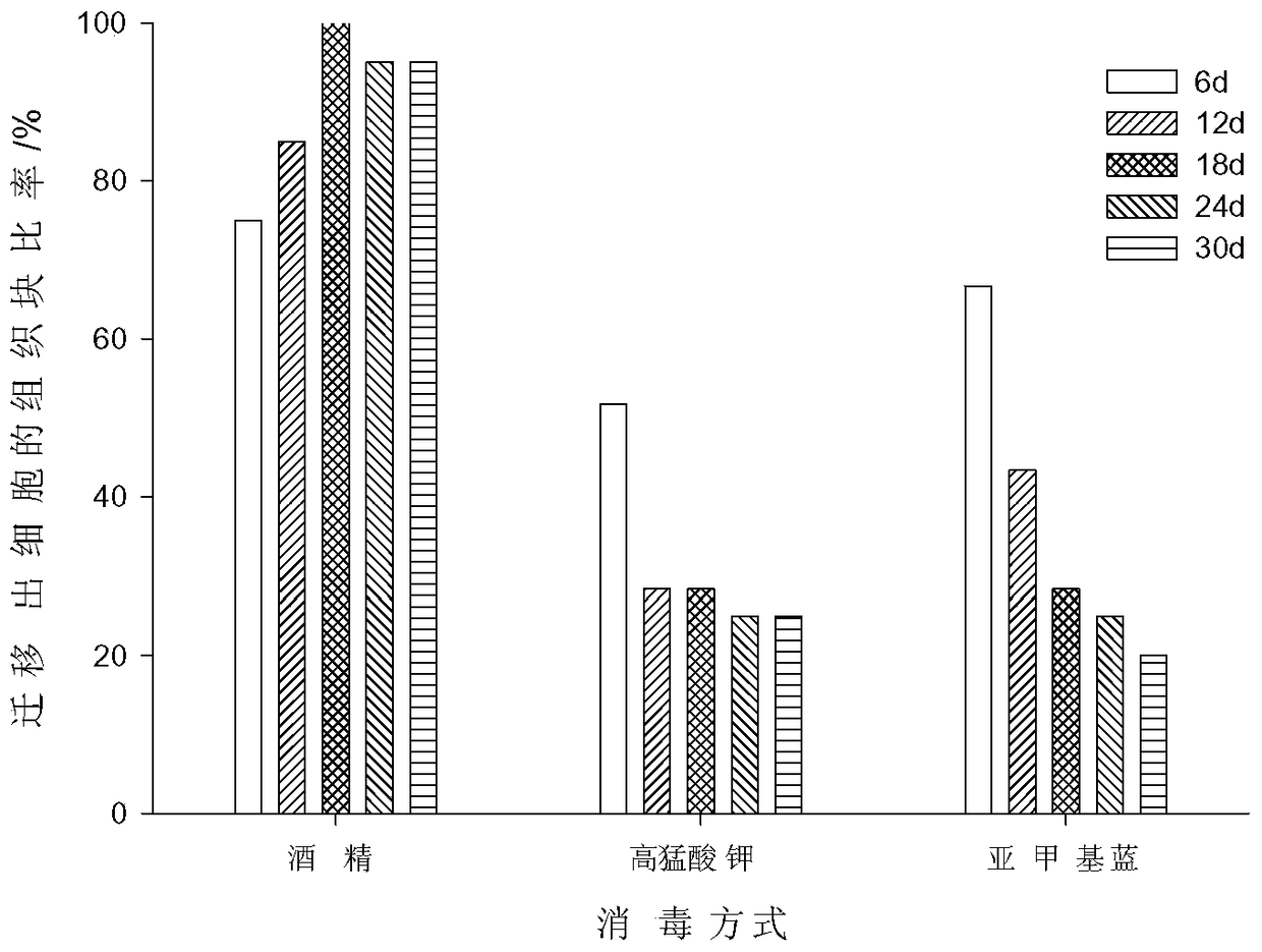 A method for constructing the Anshui goldenrod spleen cell line