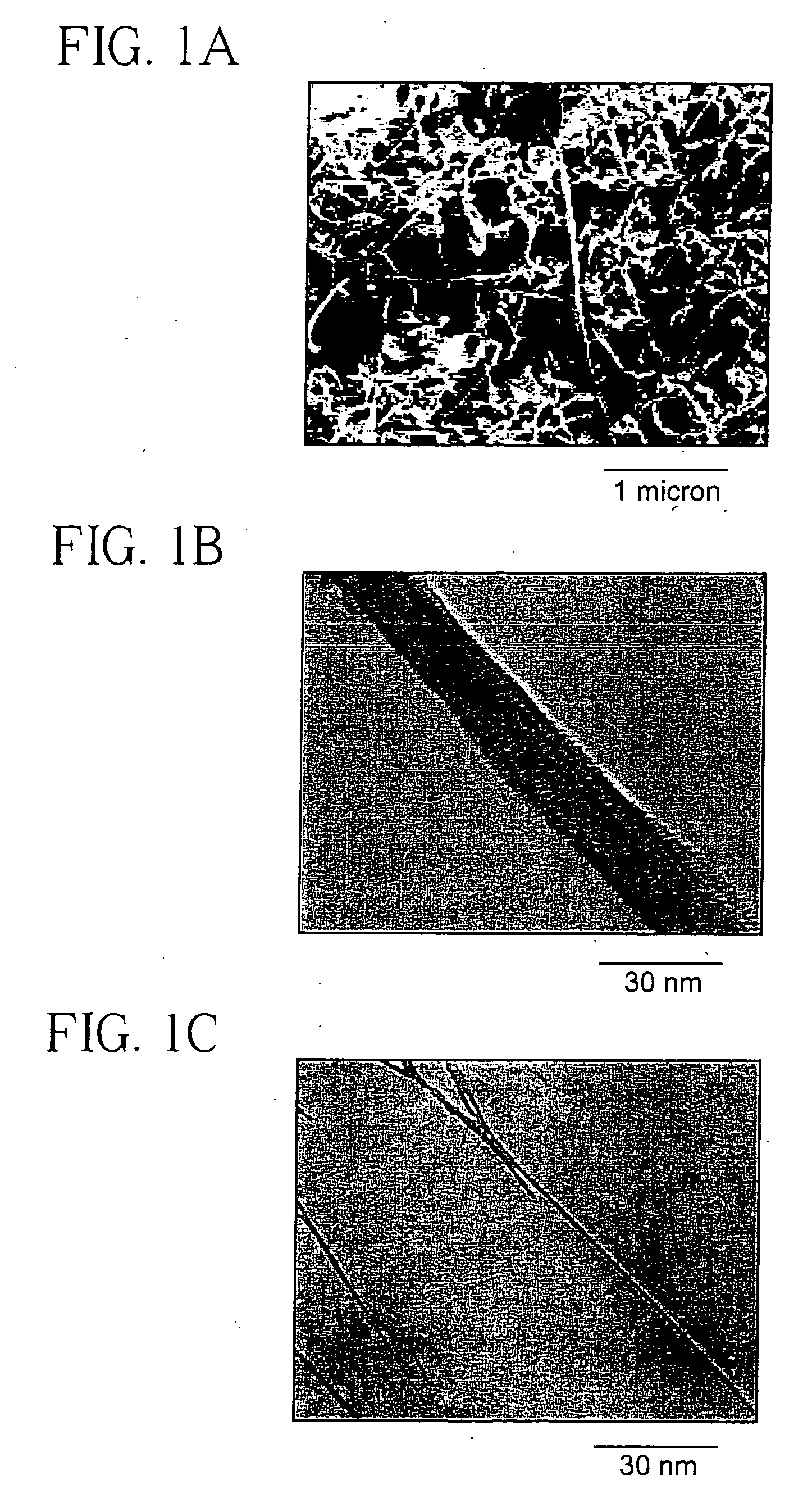 Carbon nanotube adducts and methods of making the same