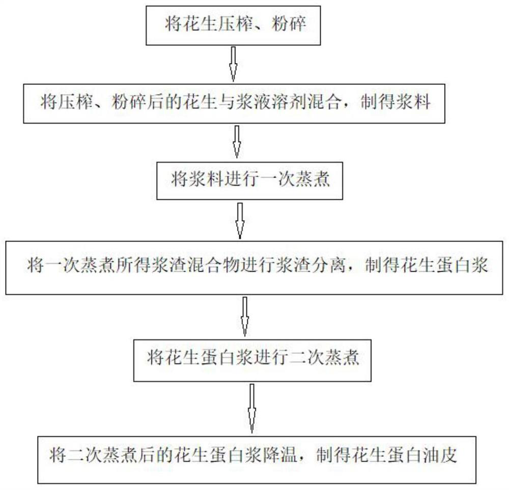 Making method and processing system of peanut protein oily skin