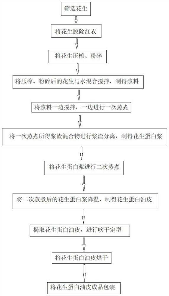 Making method and processing system of peanut protein oily skin