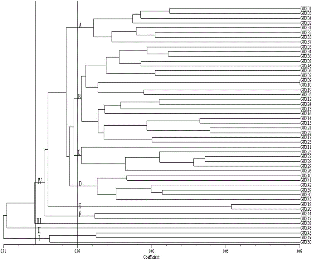 Screening method of saccharum arundinaceum breeding material