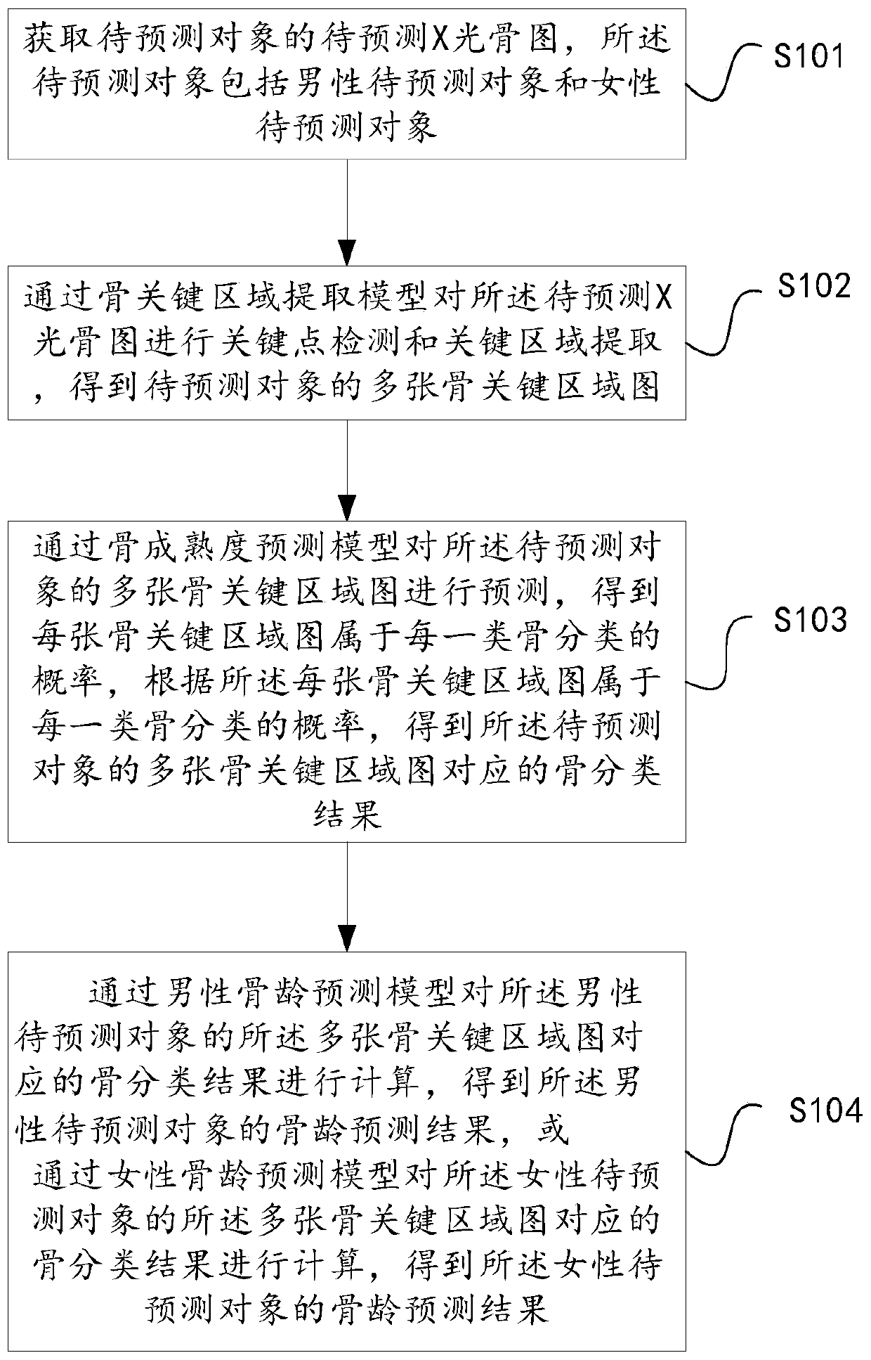 Bone age prediction method and device, electronic equipment and readable storage medium