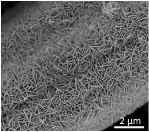 Carbon cloth supported nickel sulfide-molybdenum sulfide heterogeneous nano-sheet array structure and preparation method thereof