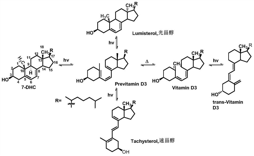 A kind of crystallization purification method of 7-dehydrocholesterol and its application in the production of vd3