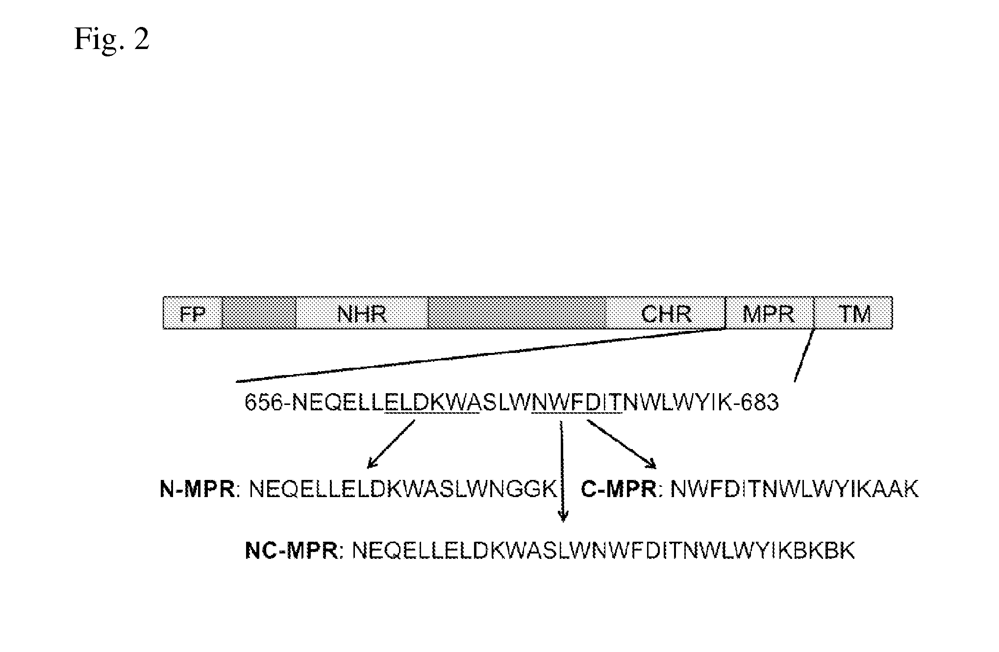 Methods and compositions for liposomal formulation of antigens and uses thereof