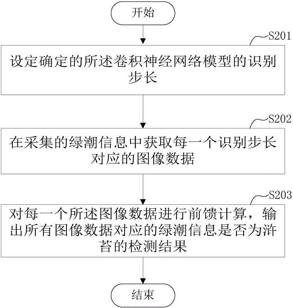 Enteromorpha detection method and enteromorpha detection device