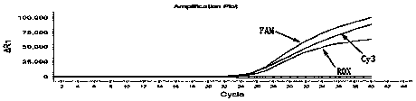 Human MTHFR and MTRR gene polymorphism detection kit